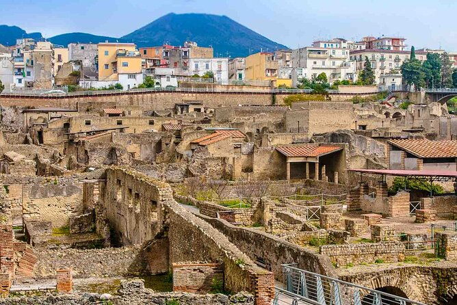 pompeii-herculaneum-private-tour-fast-track-winery-lunch
