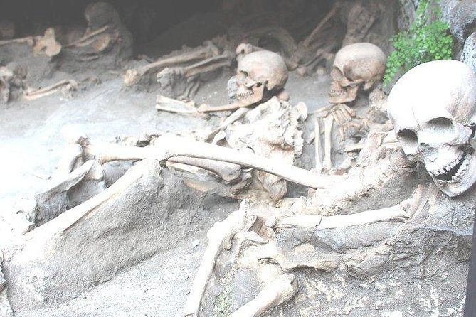 pompeii-herculaneum-trip-from-rome-with-hotel-pick-up-skip-the-line-tickets