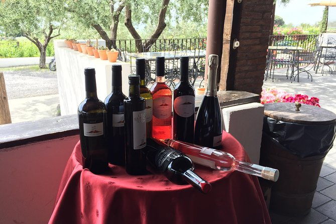 pompeii-herculaneum-wine-tour-from-sorrento-with-licensed-guide-included