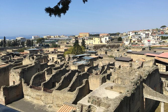 pompeii-herculaneum-wine-tour-from-sorrento-with-licensed-guide-included