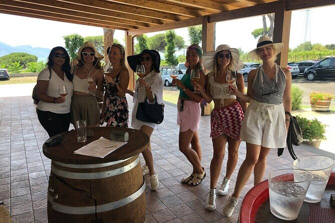 pompeii-herculaneum-wine-tour-with-licensed-guide-included