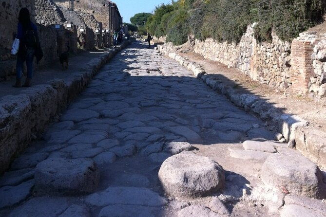 pompeii-herculaneum-wine-tour-with-licensed-guide-included