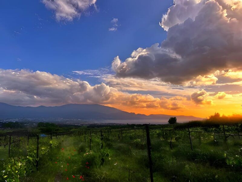 pompeii-mount-vesuvius-night-horseback-ride-and-italian-bbq