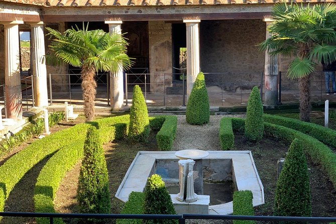 pompeii-mount-vesuvius-private-tour-with-guide-3