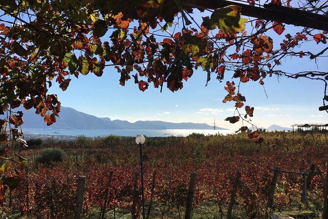 pompeii-mt-vesuvius-and-wine-tour