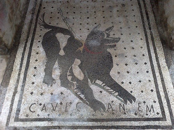 pompeii-positano-and-sorrento-shared-excursion-with-pompeii-skip-the-line-entry