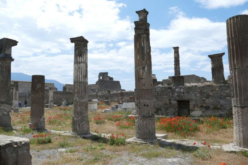 pompeii-private-guided-tour-with-lunch