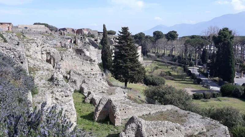 Pompeii: Private Half Day Tour from Naples - FAQ