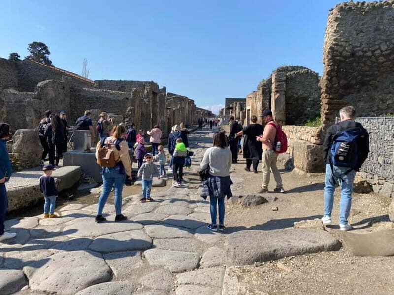 Pompeii: Private Tapsy Tour for Families with Kids - Key Points