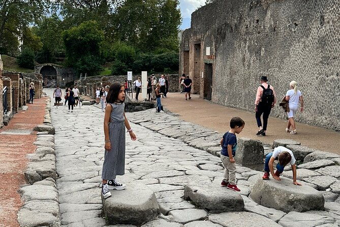 pompeii-private-tour-from-naples-cruise-port-or-hotel-pick-up