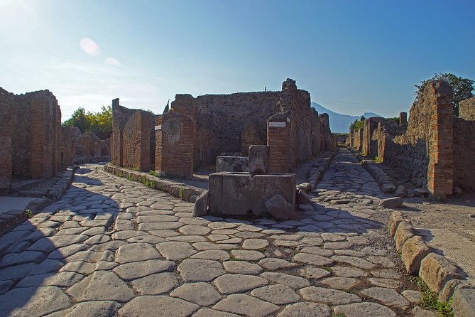 pompeii-private-tour-from-rome-with-guide-and-entrance-tickets