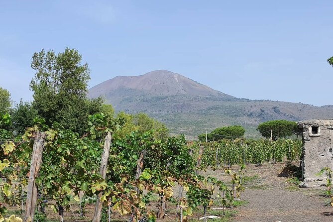 pompeii-ruins-and-wine-tour-from-sorrento