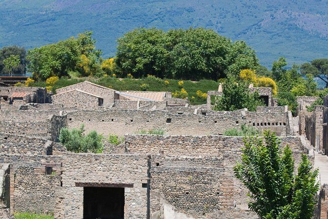 Pompeii Ruins Half-Day Tour from Sorrento with Guide - The Experience from a Travelers Perspective