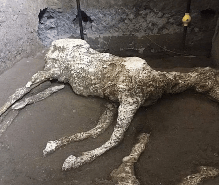 pompeii-ruins-tour-driver-guide-and-ticket-included