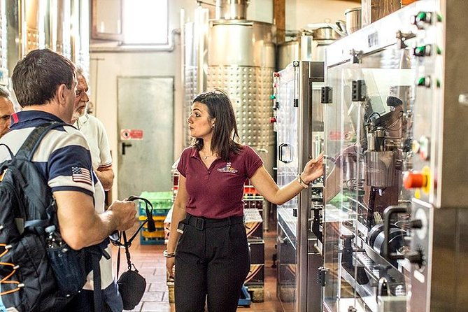 pompeii-ruins-wine-tasting-with-lunch-on-vesuvius-with-private-transfer-2