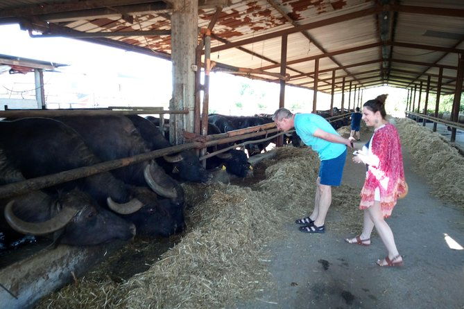 pompeii-skip-the-line-and-positano-fullday-from-rome