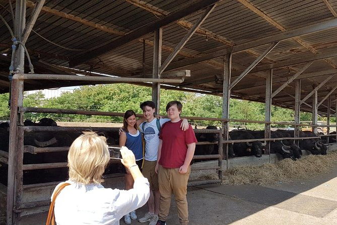 pompeii-skip-the-line-and-positano-fullday-from-rome