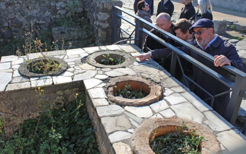 pompeii-skip-the-line-tickets-and-tour-with-archaeologist