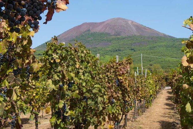 pompeii-skiptheline-with-lunchwinetasting-from-rome