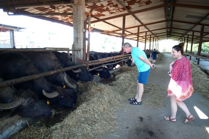 pompeii-skiptheline-with-lunchwinetasting-from-rome