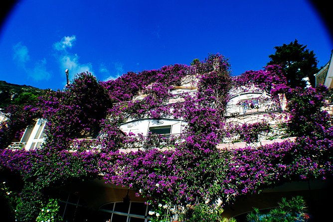 pompeii-sorrento-mozzarella-making-private-tour