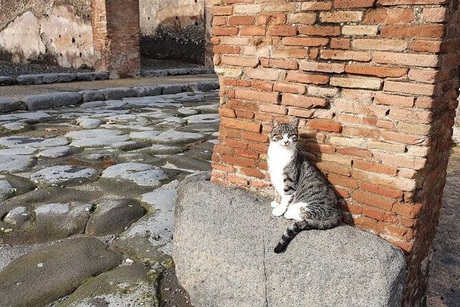 pompeii-the-ancient-city-tourtransfer-2
