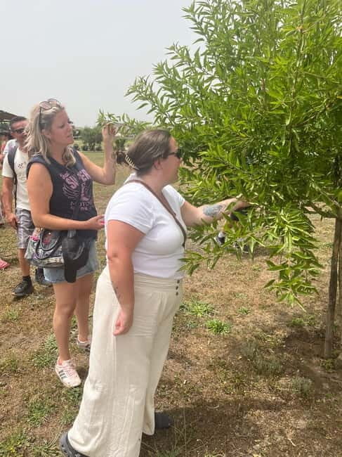 Pompeii: Tour of the Archaeological Excavations and Fresh Pasta Cooking Class - FAQ