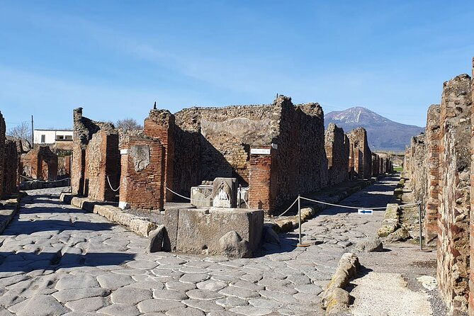 pompeii-vesuvius-day-tour-from-naples-with-italian-lunch-and-wine