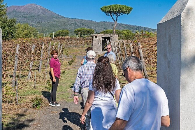 pompeii-vesuvius-day-tour-from-naples-with-italian-lunch-and-wine