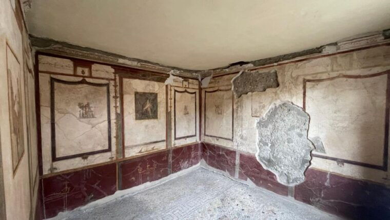 pompeii-vesuvius-wine-from-amalfi-coast-all-inclusive
