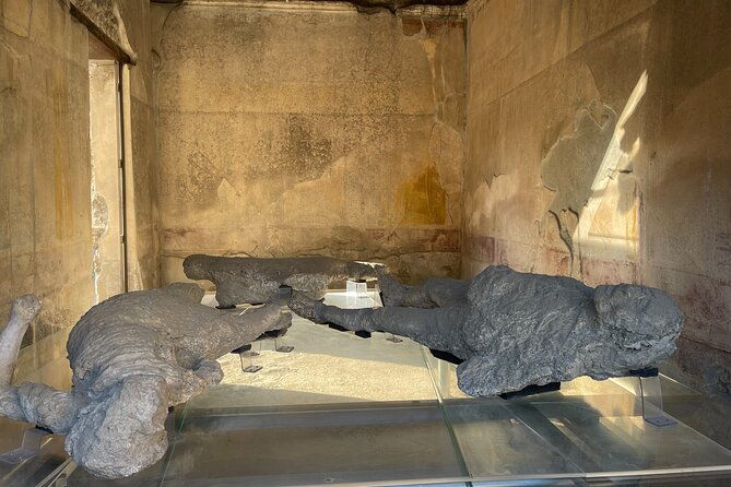 pompeii-vesuvius-wine-tasting-from-positano-all-inclusive