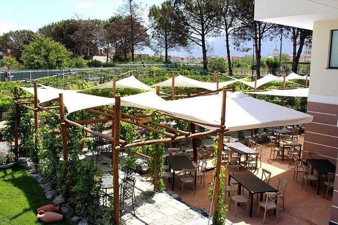 pompeii-vesuvius-with-wine-tasting-from-the-coast