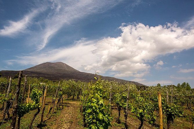 pompeii-visit-with-food-and-wine-tasting-near-mt-vesuvius