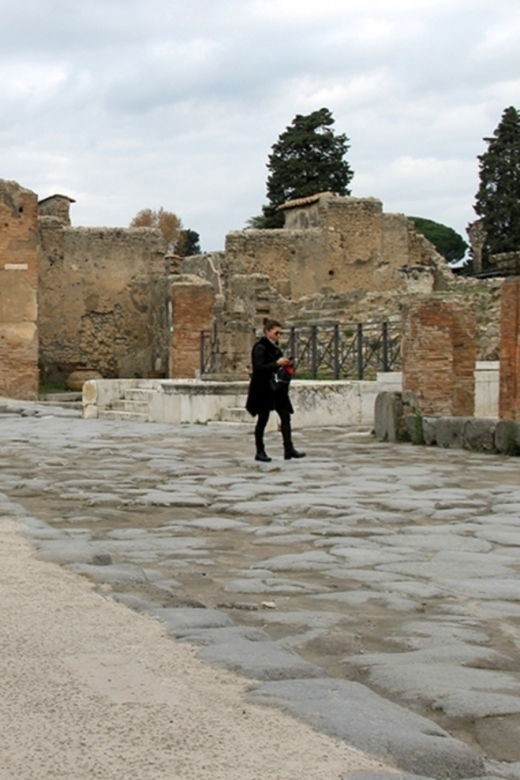 pompeii-wheelchair-accessible-private-tour-2