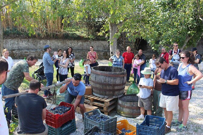pompeii-wine-tasting-tour-from-positano