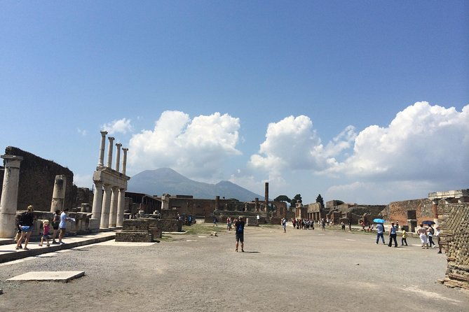 pompeii-wine-tasting-tour-from-sorrento-licensed-guide-included-2
