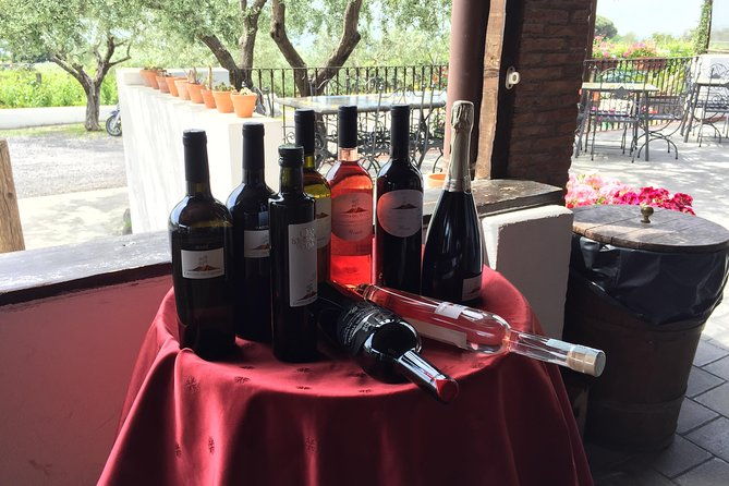 pompeii-wine-tasting-tour-from-sorrento-licensed-guide-included-2