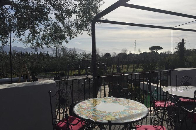 pompeii-wine-tasting-tour-from-sorrento-licensed-guide-included-2