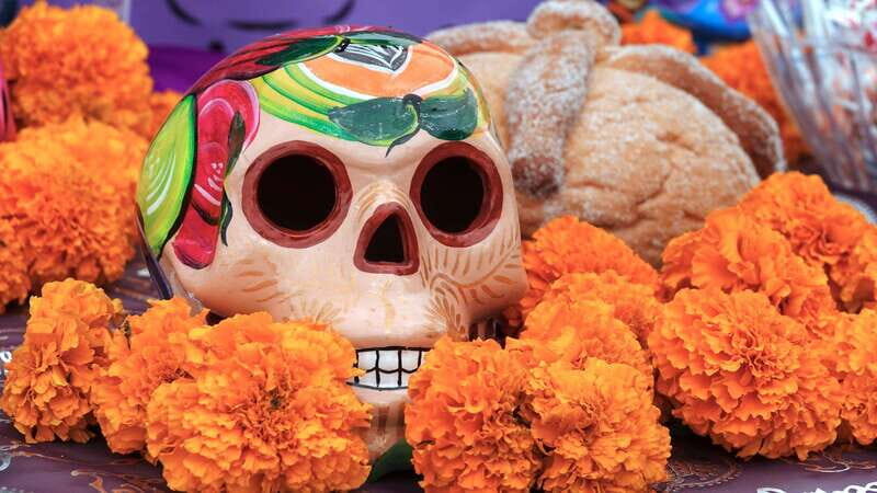 Pomuchs Legacy: A Day of the Dead Cultural Immersion - FAQ  