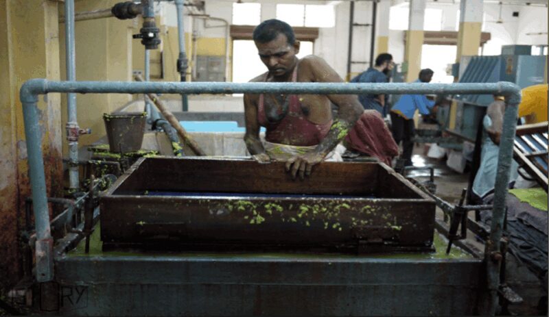 Pondicherry: Full day private tour from Chennai - Key Points