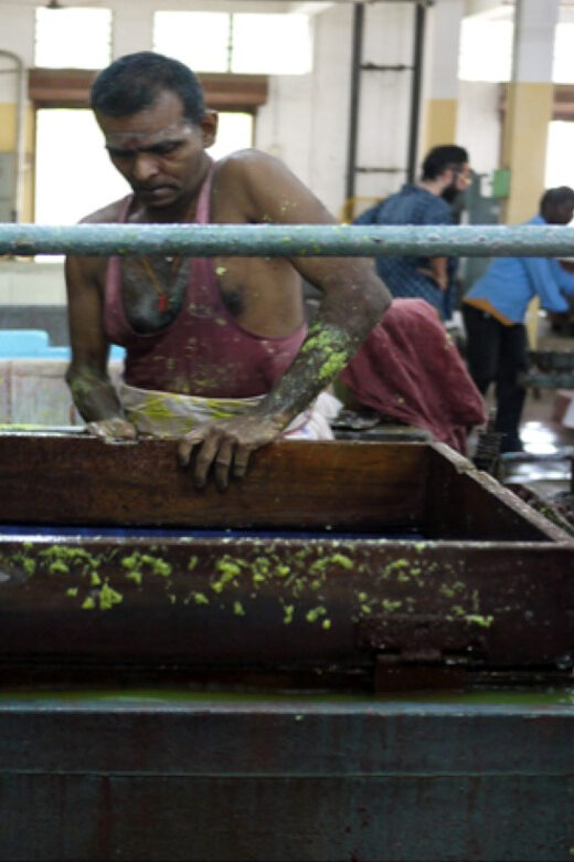 Pondicherry: Full day private tour from Chennai - Considerations to Keep in Mind