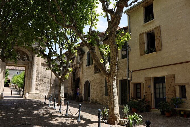 pont-du-gard-to-villeneuve-les-avignon-chateauneuf-du-pape-wine-private-tour