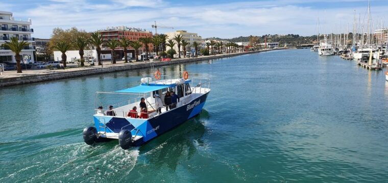 ponta-da-piedade-half-day-cruise-with-lunch-from-lagos