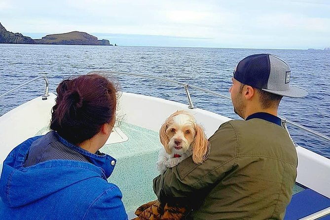 ponta-de-sao-lourenco-boat-tour