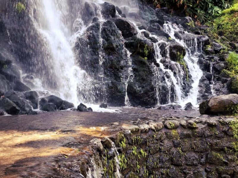 Ponta Delgada: 2-Day Tour, East & West Island Highlights - Who Should Consider This Tour?