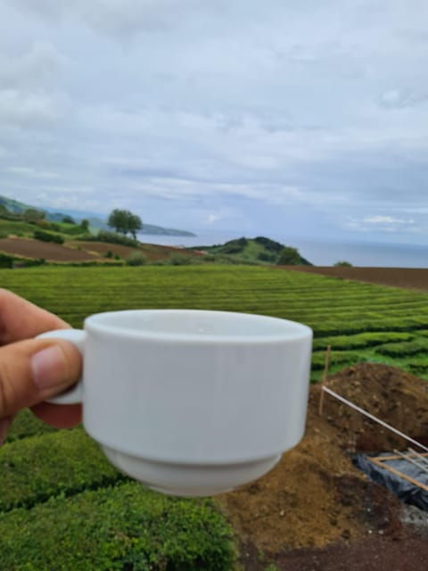 ponta-delgada-beauties-of-sao-miguel-island-private-tour