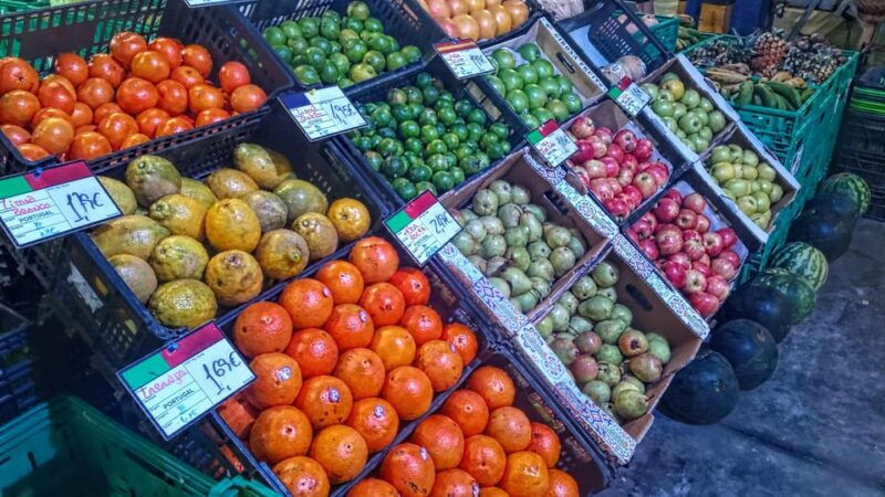 ponta-delgada-fat-dolphin-food-tours