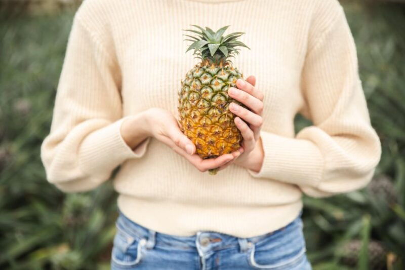 ponta-delgada-greenhouse-hot-tube-with-pineapple-tour
