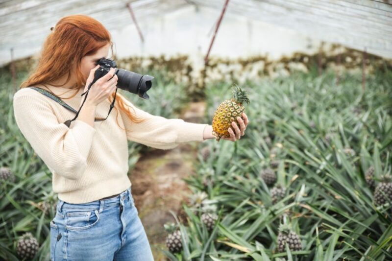 ponta-delgada-greenhouse-hot-tube-with-pineapple-tour