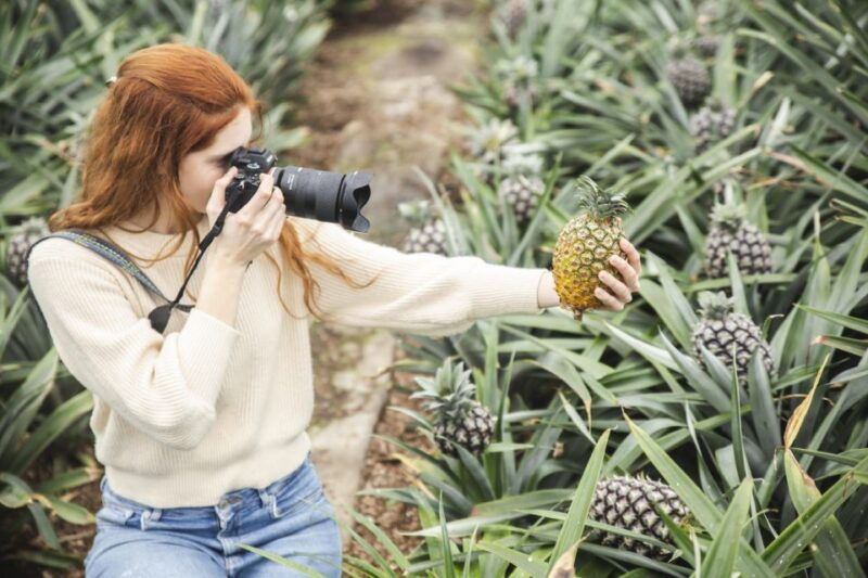 ponta-delgada-pineapple-wine-tasting-and-pineapple-tour